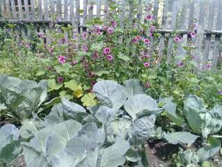 Лоджи Wooden House Местиа Стандартные апартаменты-18