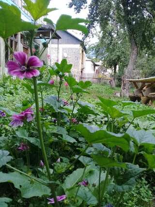 Лоджи Wooden House Местиа Стандартные апартаменты-32