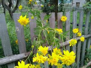 Лоджи Wooden House Местиа Стандартные апартаменты-33