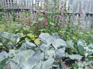 Лоджи Wooden House Местиа Стандартные апартаменты-34