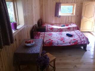 Лоджи Wooden House Местиа Стандартные апартаменты-4